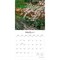 Brush Dance; Japanese Gardens | 2027 12 x 24 Inch (Hanging) Monthly Square Wall Calendar | Plastic-Free; Category:Wall Calendars; Image:4